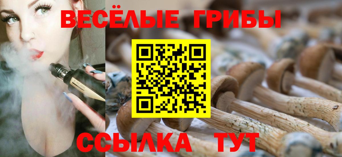 Псилоцибиновые грибы мицелий  Вход с VPN  Псилоцибиновые грибы мухоморы  Майский 
